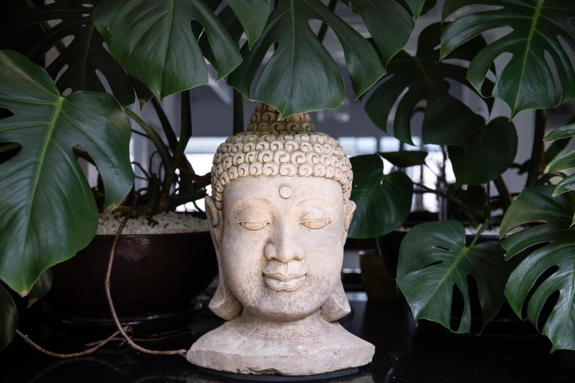 Mettahouse Villa Cape Town Ngoại thất bức ảnh