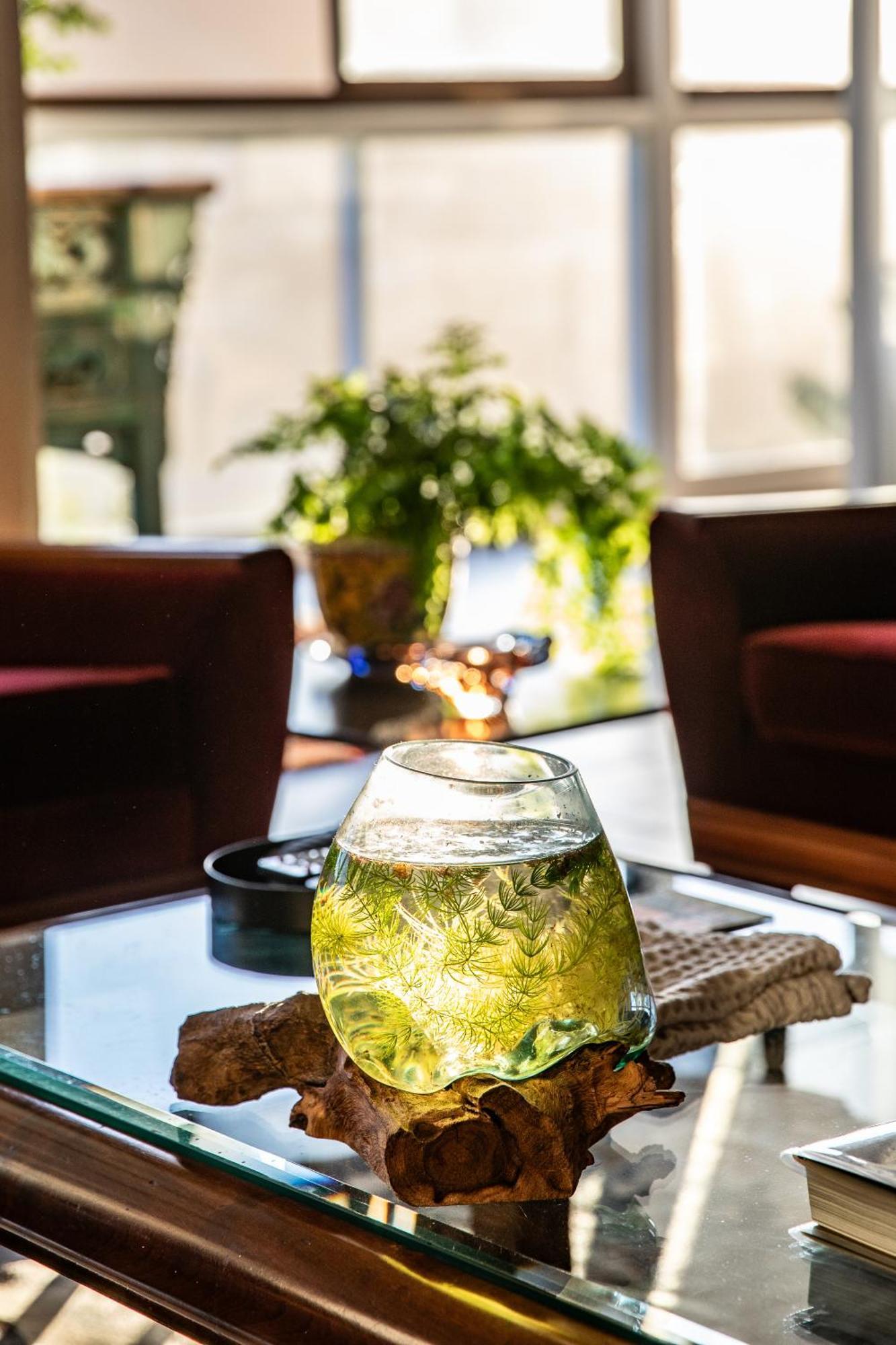Mettahouse Villa Cape Town Ngoại thất bức ảnh